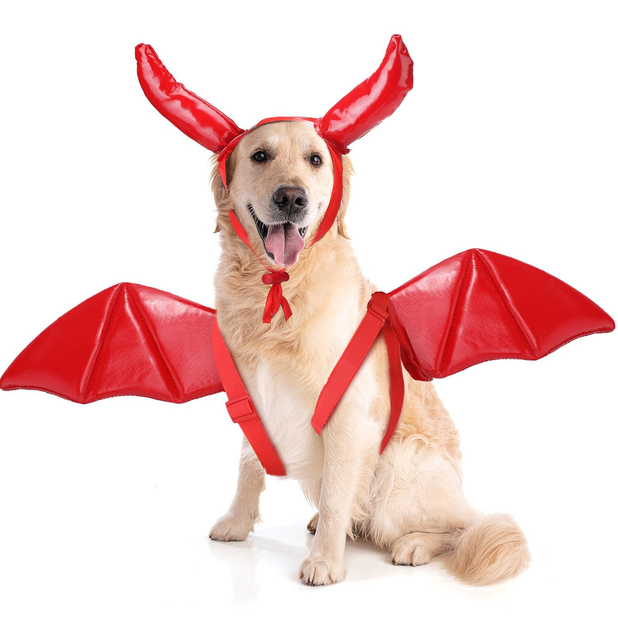 Bulyoou Pet Halloween Costume Angel Dog Costume Wings and Dog Devil Cat Angel Devil Cosplay Outfit Fits Many Pets for Christmas, Halloween Parties, Gifts for Dog & Cat Lovers(White, Red)
