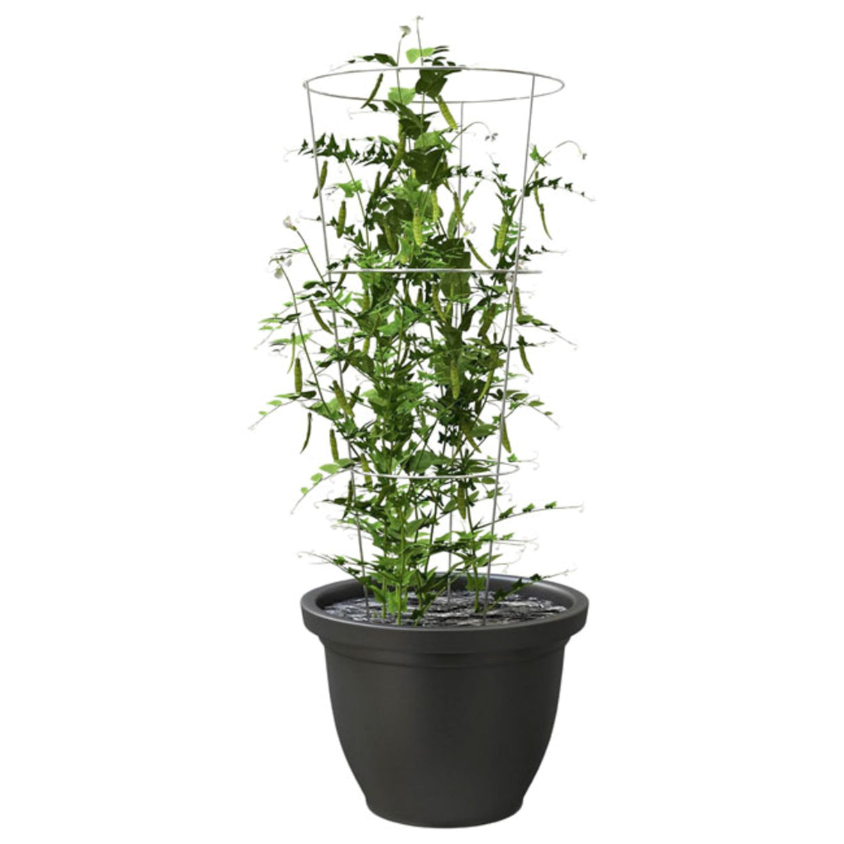 BestNest Panacea 89723 Round Tomato & Pepper Towers, Galvanized, Pack of 20