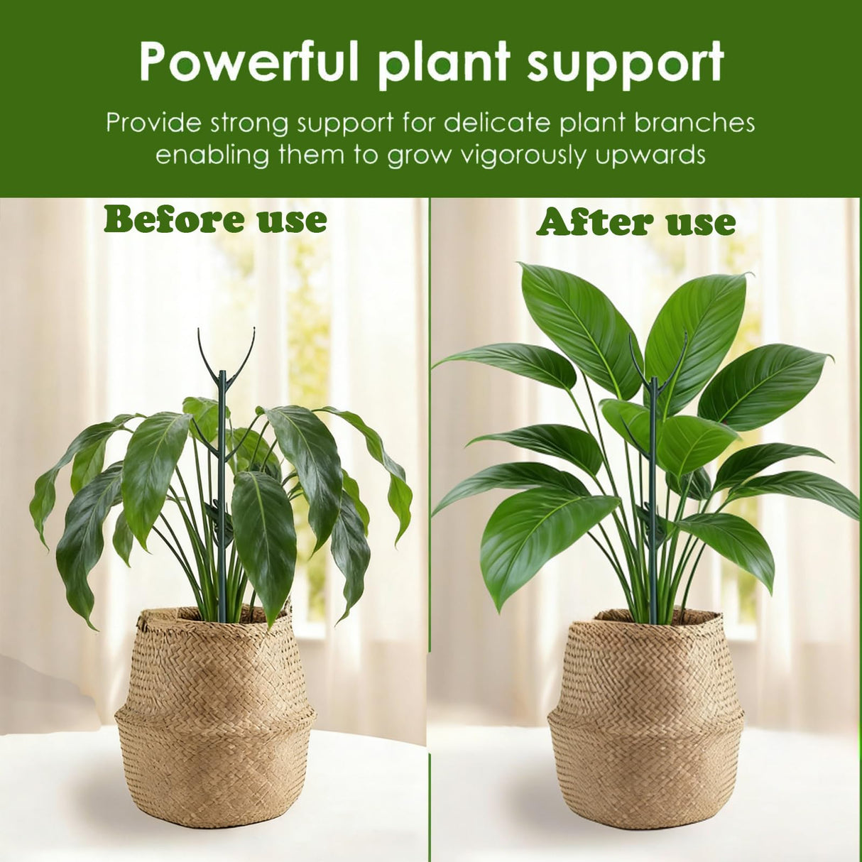 Stackable Monstera Moss Pole, 10 PCS Natural Coir Plant Support Stakes.