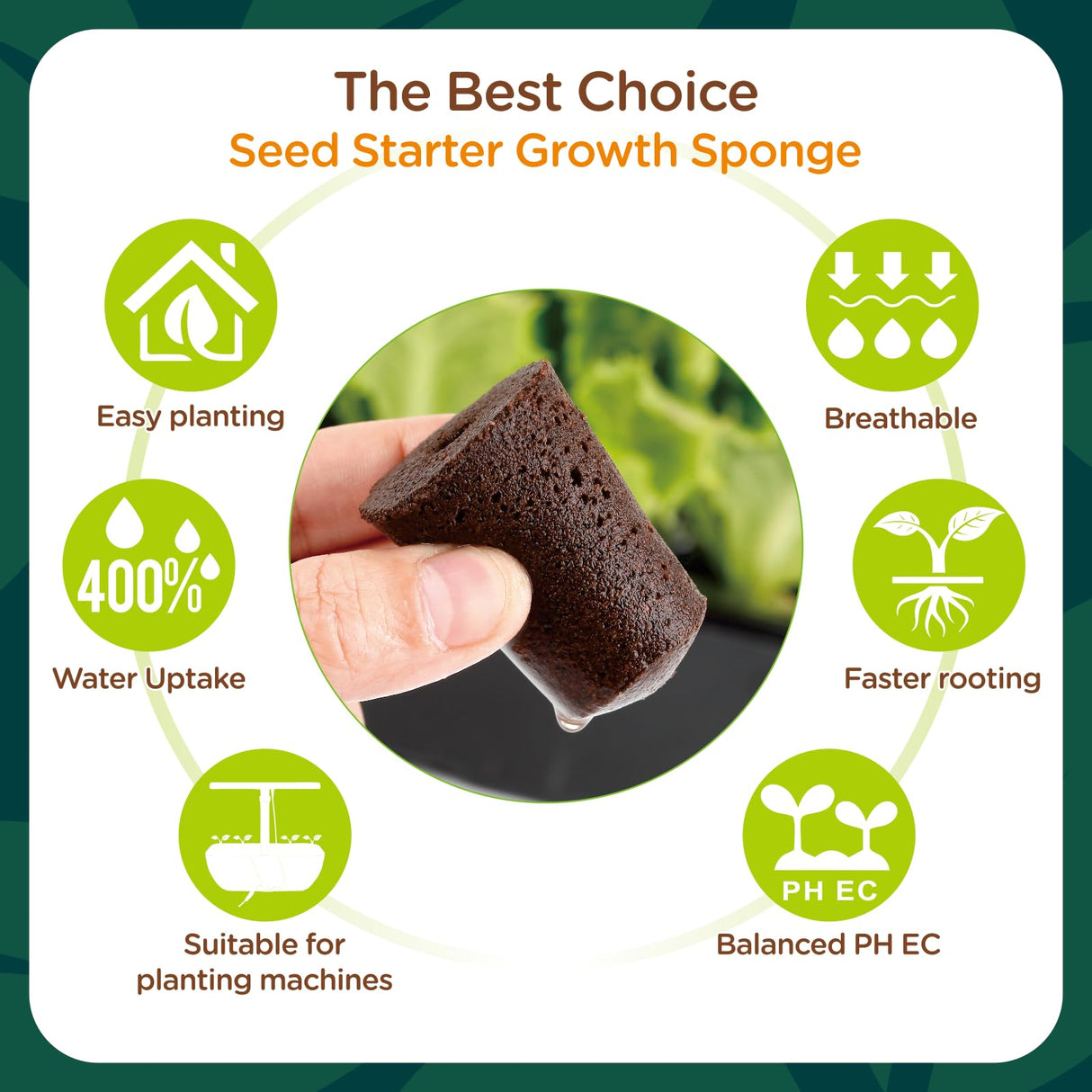 Hapxalie 70 Count Hydroponic Grow Sponges, Pre-Drilled Seed Starter Plugs