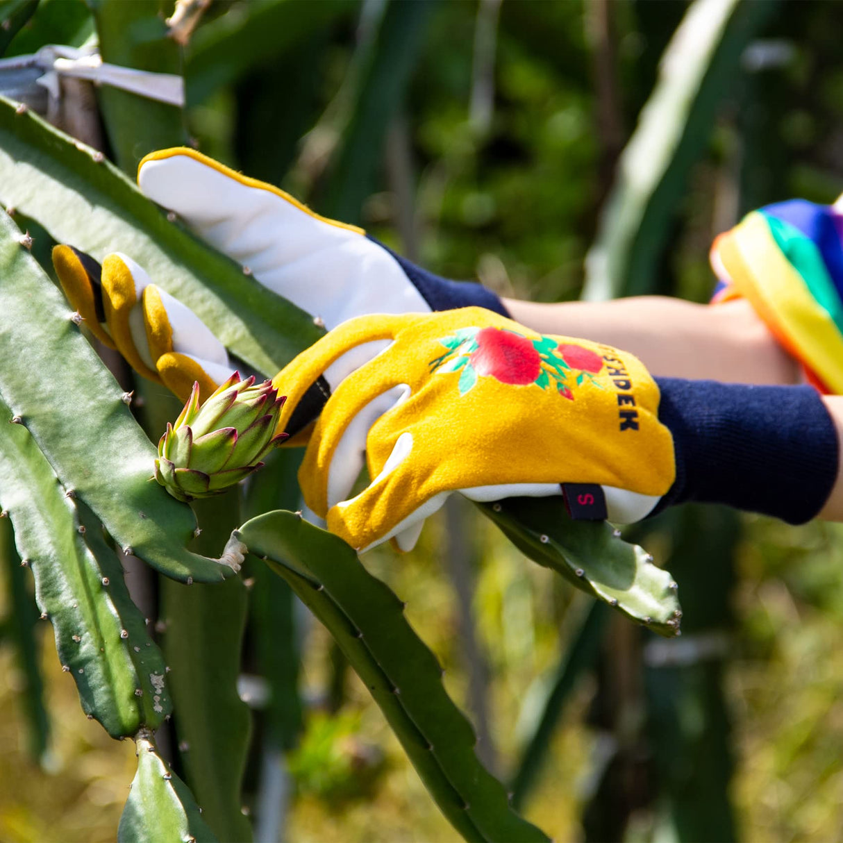 FEISHDEK Cactus Gloves Soft Deerskin Women Gardening Glove Thorn Proof for Cacti Handling (Large - Short Sleeve, Yellow)