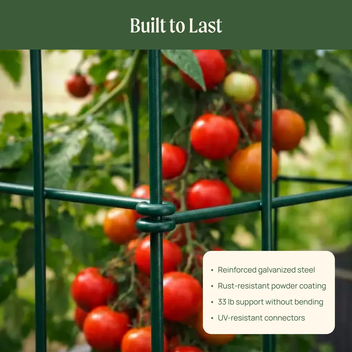 Vego Garden 2 Pack Tomato Cage 14.5"x 58" Square for Garden & Pots, Rust-Resistant Tomato Stackable Heavy Gauge Plant Cage Trellis Support for Climbing Vegetables Plants
