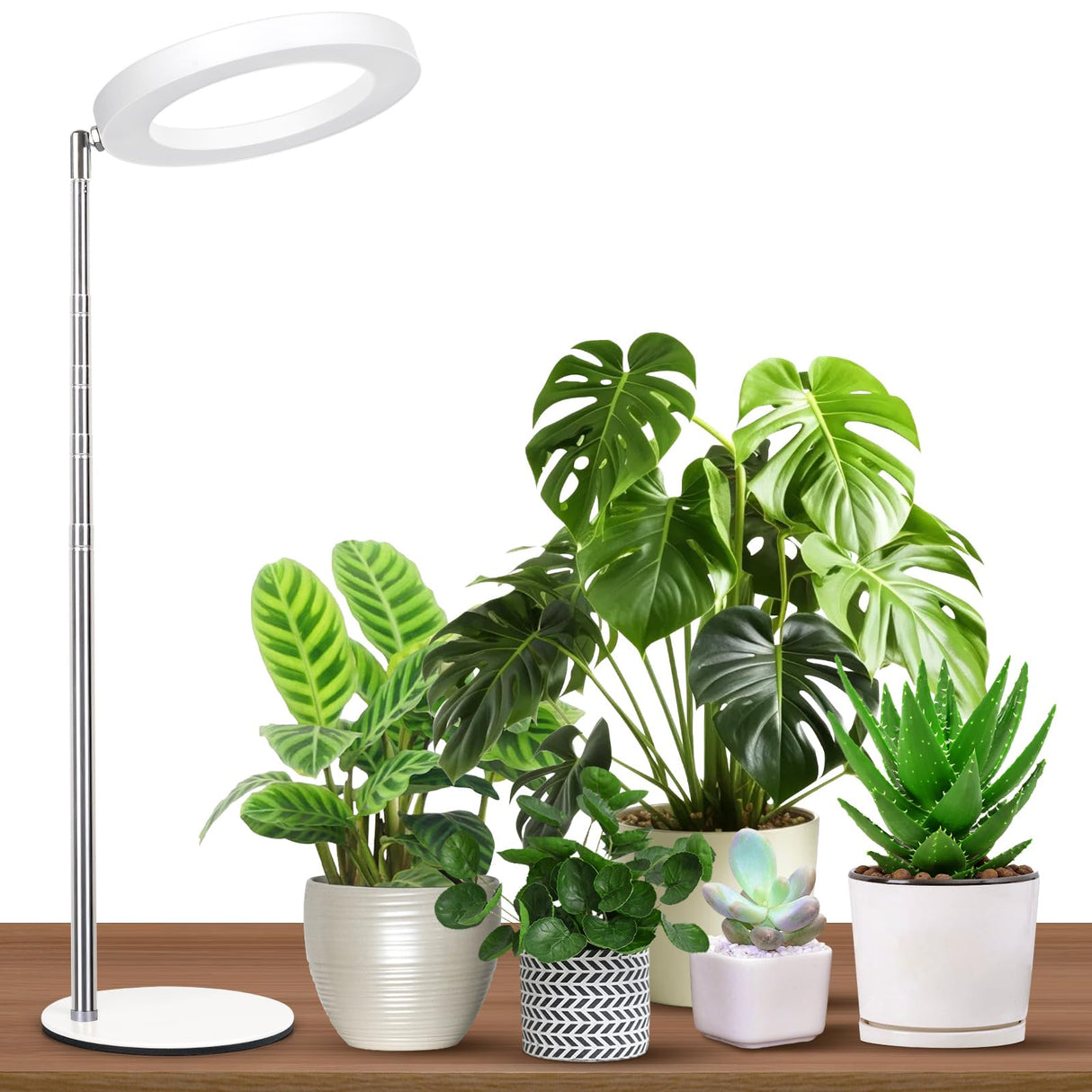 GTRUIIDY Desktop Grow Light, Full Spectrum Plant Light with Timer, Height Adjustable Halo Grow Lamp for Indoor Plants, 3 Lighting Modes for Seedlings & Succulents, White