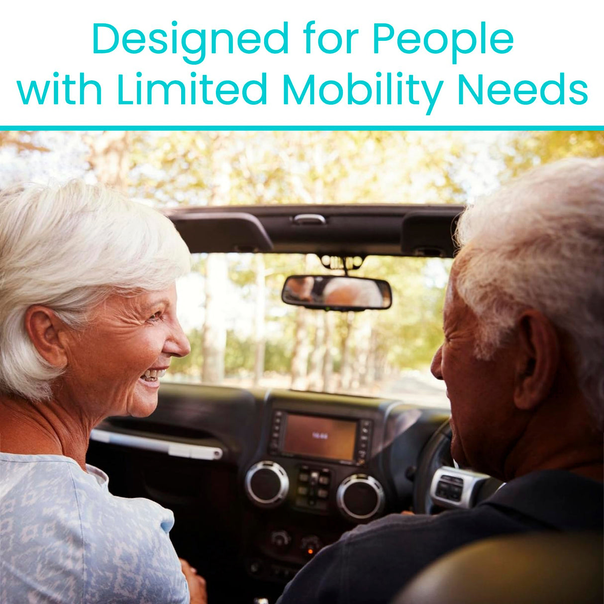 Vive Car Handle Assist for Elderly - Vehicle Support Handle - Standing Mobility Aid Tool for Elderly - Safety Door Handle Autocane (2 Pack)