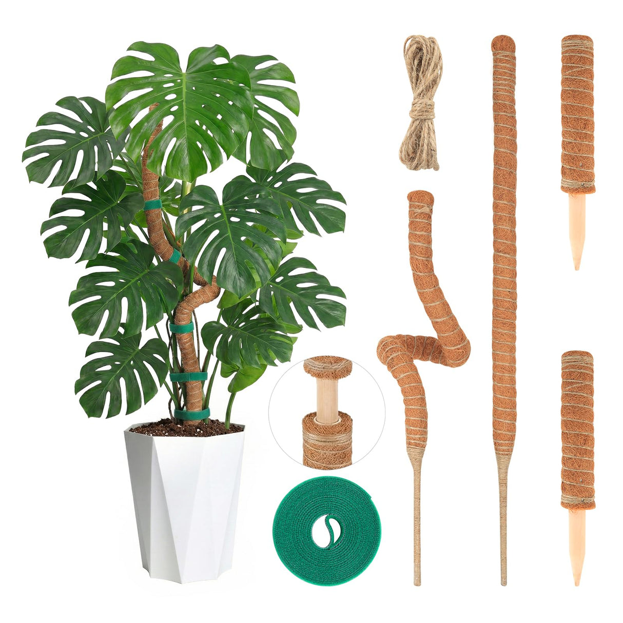 28'' Bendable Moss Poles & 12'' Stackable Coir Plant Sticks for Monstera