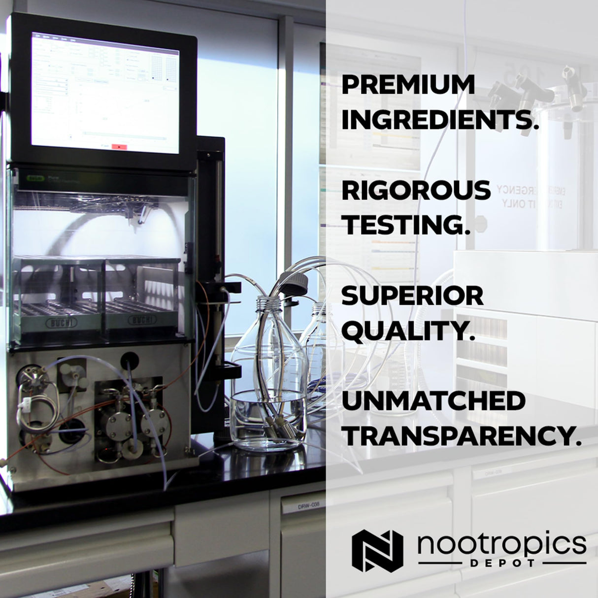 Nootropics Depot Nobiletin Capsules | 250mg | 30 Count | 20% Extract | Citrus aurantium | May Help Suppot Cognitive & Metabolic Function | May Help Promote Cardiovascular Function