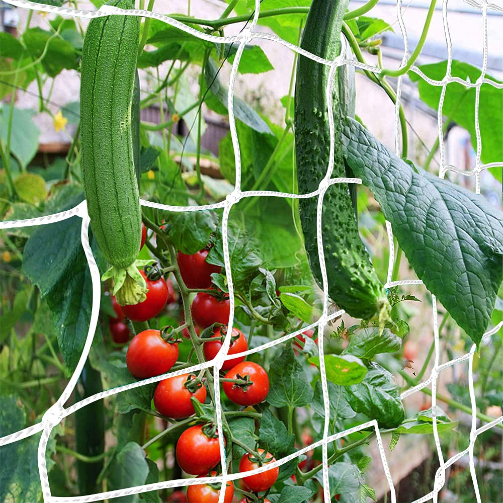 ππ«ππ₯π₯π’π¬ πππππ’π§π , CANAGROW Heavy-Duty Garden Plant Trellis Netting for Climbing Plants, Outdoor Indoor Grow Net for Beans Tomatoes Peas Pumpkin Flowers, π π± ππππ, Pack of 2