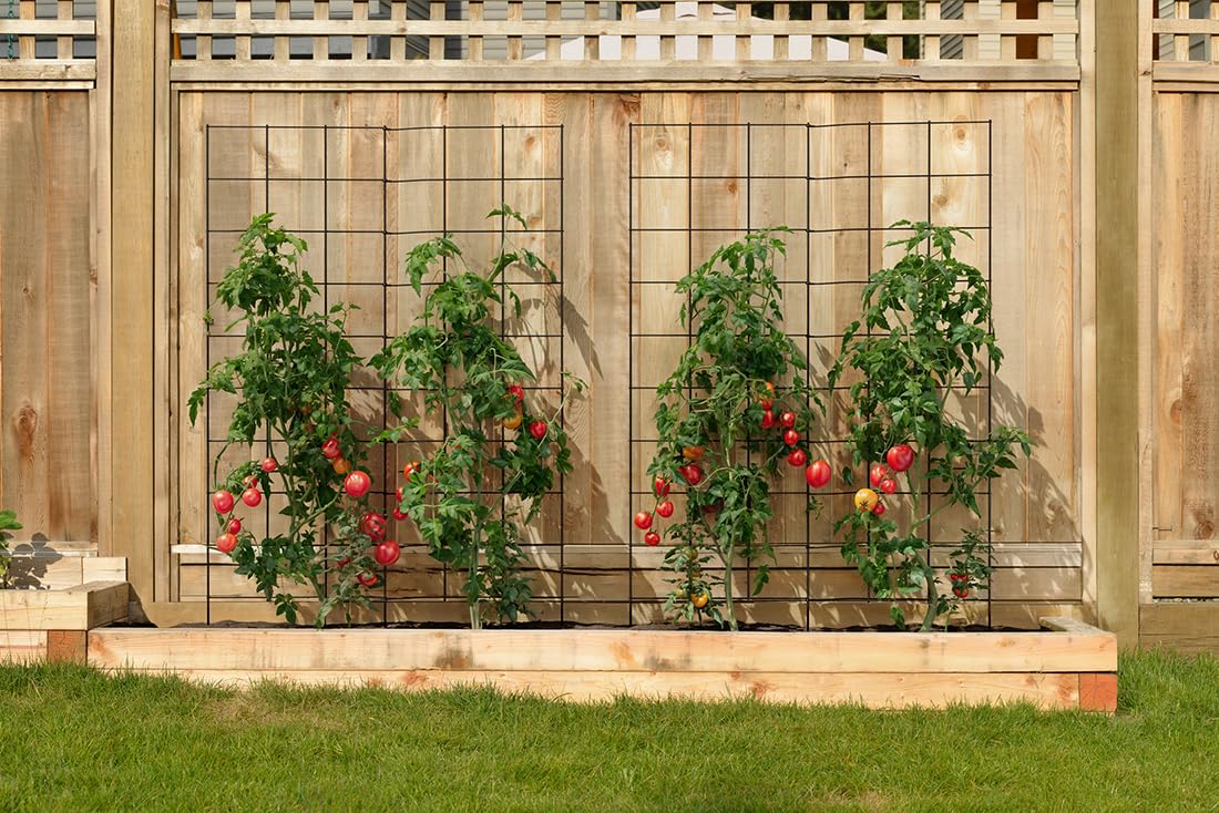 2-Panel Folding Garden Trellis - Maximize Your Garden Space, Durable Powder Coated Steel Frame, Easy-to-Use Design, Perfect for Climbing Vines, Vegetables, Beans, Tomato, Cucumber, 35x58"