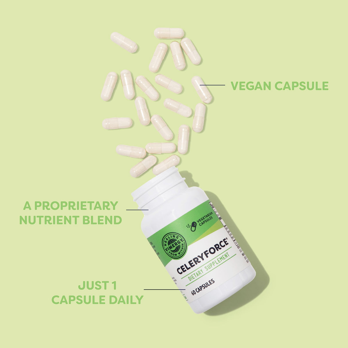 Vimergy Celeryforce – Nutrients and Amino Acids – Supports Your Wellness Routine* – Kosher, Vegan & Gluten-Free – 60 Capsules