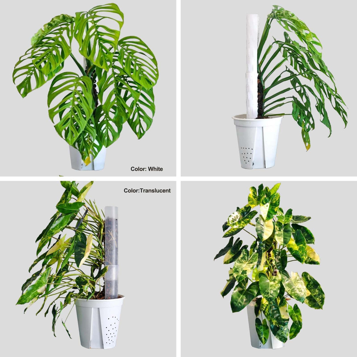 Haispring 8 Pack 17 Inch Plastic Moss Pole for Monstera