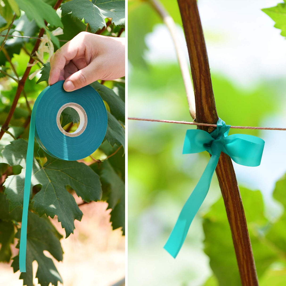 TELENT OUTDOORS 10 Pcs 150 Feet x 1/2" Wide Stretch Tie Tape Green Plant Garden Tie, Garden Vinyl Stake for Branches, Climbing Planters, Flowers