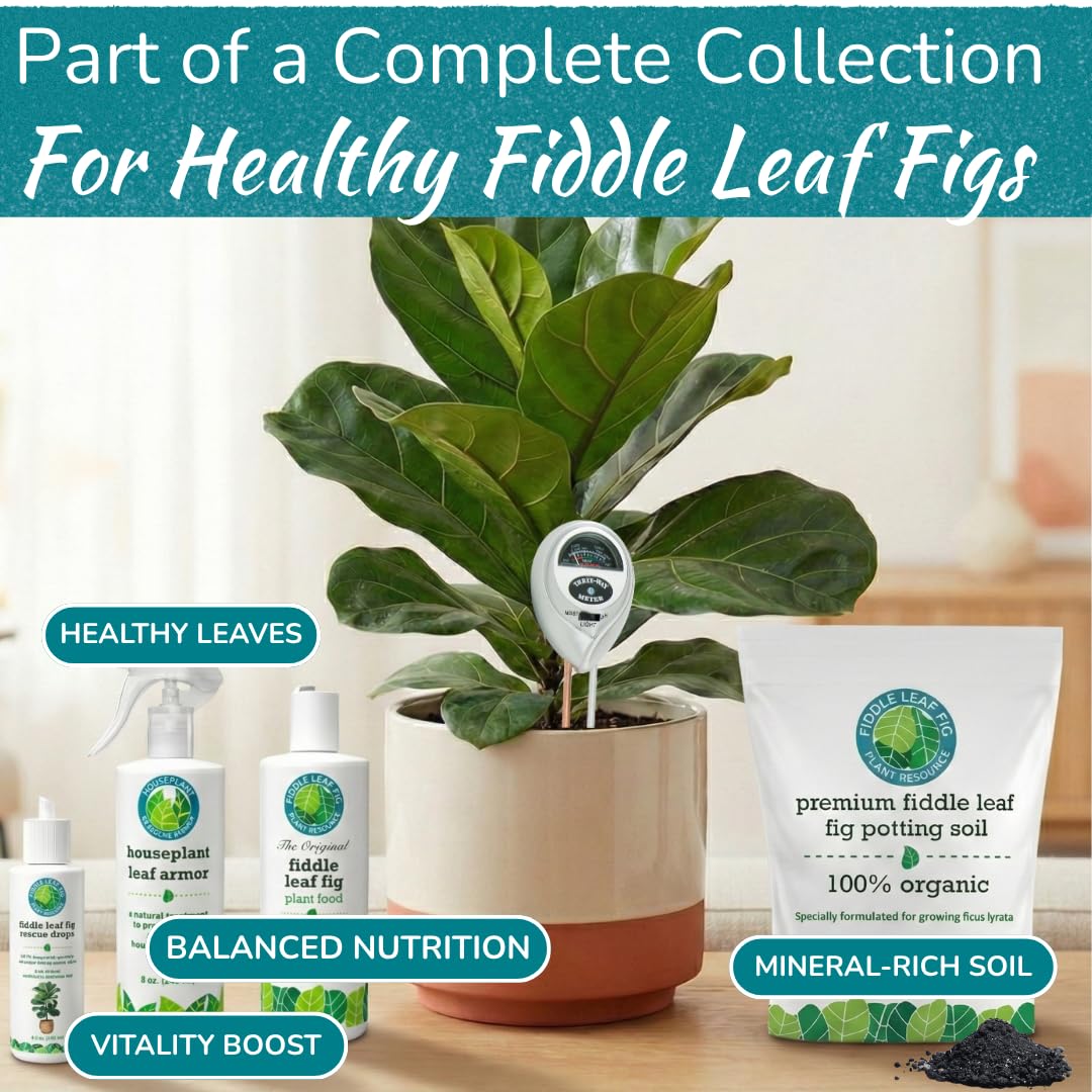 Fiddle Leaf Fig Health Meter, 3-in-1 Soil Moisture, Light & pH Testing Tool