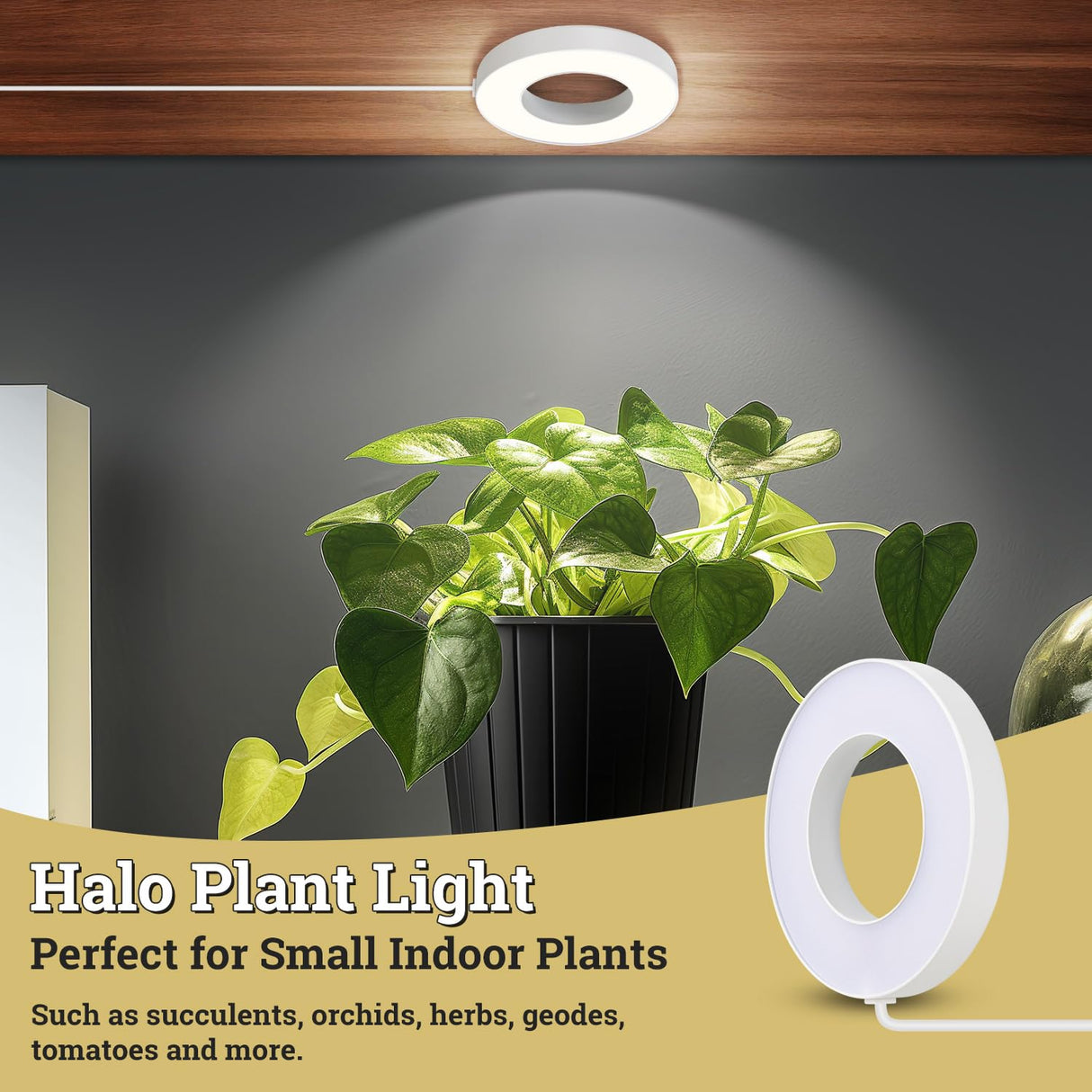 SIYOMG Ceiling Grow Lights for Indoor Plants, 192 LEDs Full Spectrum Halo LED Plant Light, with 3/9/12H Auto Timer Switch, 3 Colors,10 Dimming, Plant Lights for Small Plants, 4 Head