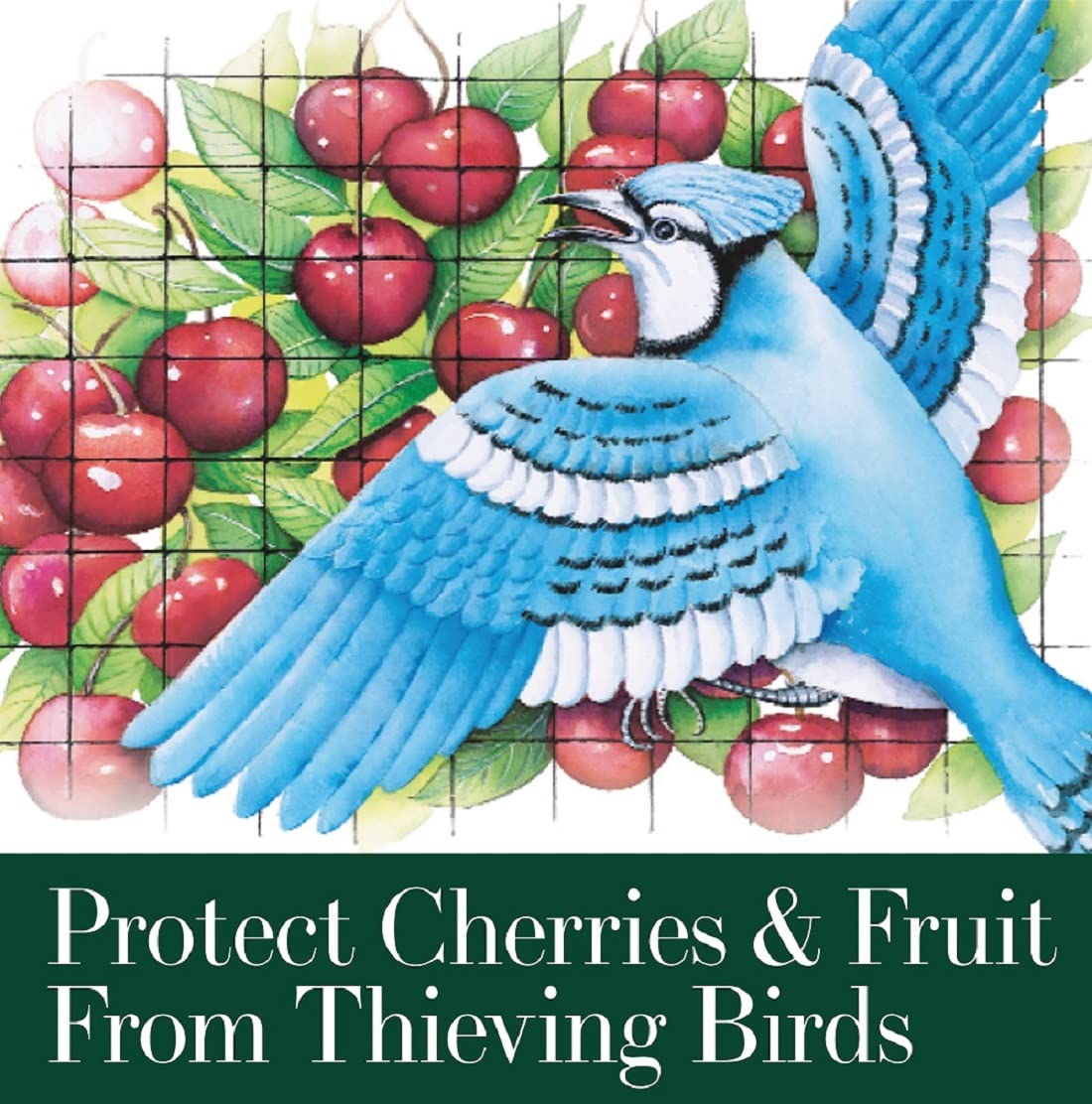 Dalen Bird-X Protective Mesh Netting for Fruit Trees & Berries - 28 x 28 ft