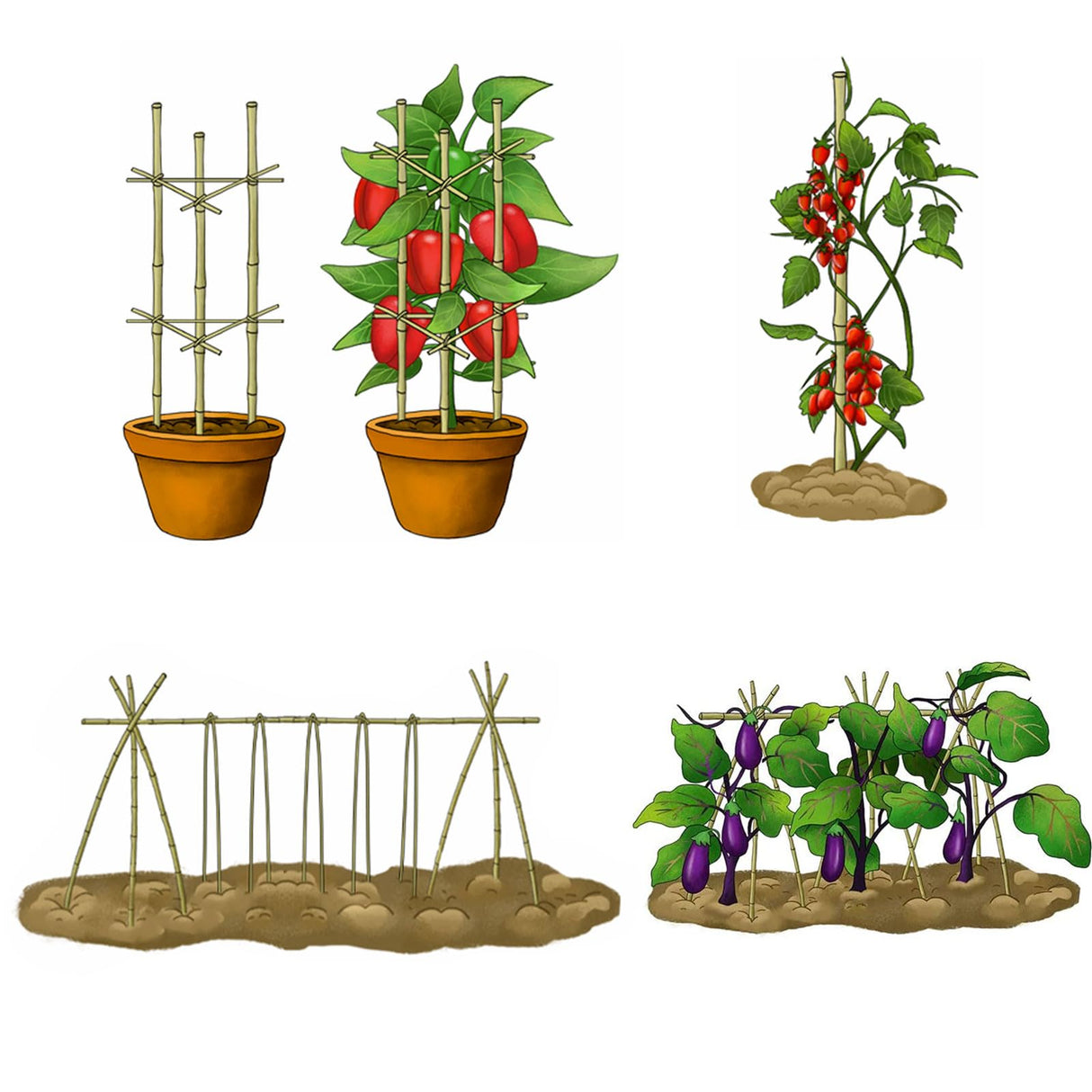 Cambaverd Bamboo Stakes 4 Feet Thicker Garden Stakes with Garden Twine, Diameter of 0.55in Natural Plant Stakes Bamboo Poles for Climbing Plants Support Tomato Cage - 20 Pack Bamboo Sticks for Plants