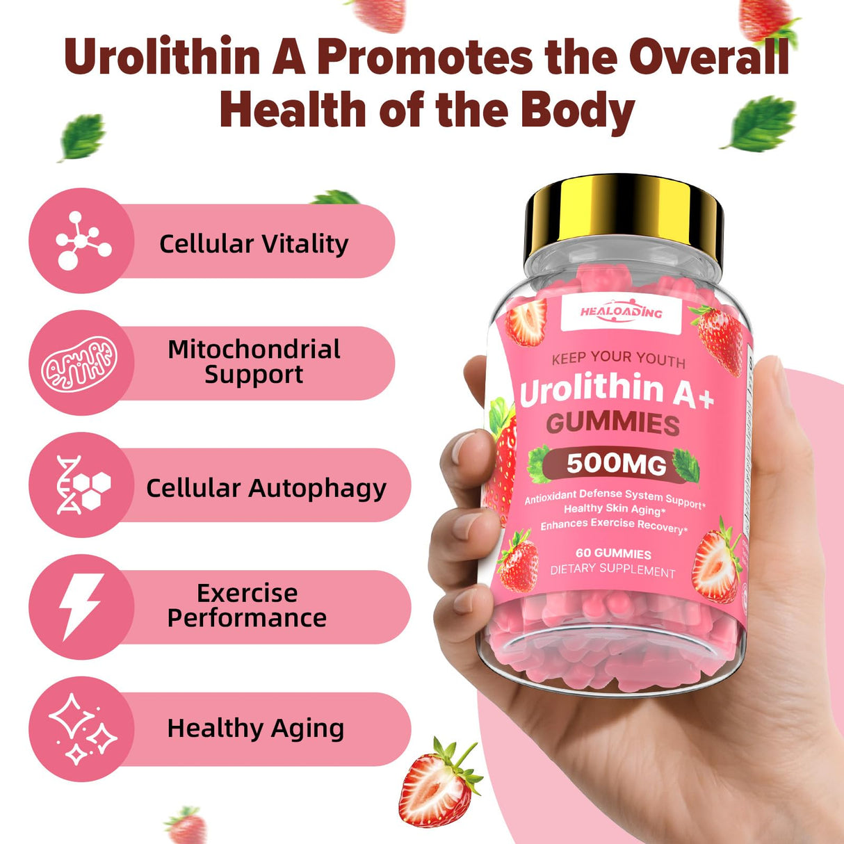 HEALOADING Urolithin A Supplement Gummies 500MG:Urolithin A+ Supplement for Healthy Aging Antioxidants and Mitochondrial Support,Non-GMO Vegan Friendly(60 Count)
