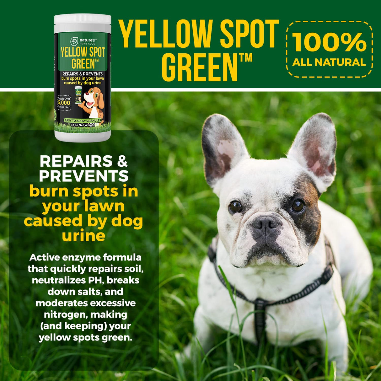 Yellow Spot Green™ Dog Urine Neutralizer for Lawns, Large 32 Ounce