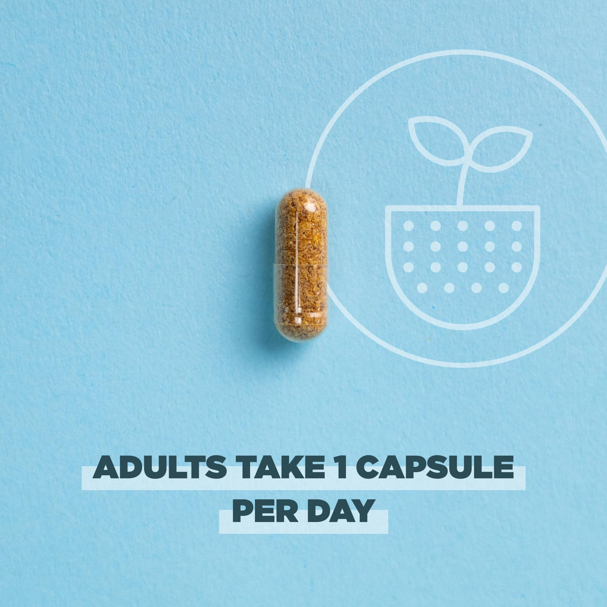 Ancient Nutrition Regenerative Organic Certified Probiotics for Women 50+, Probiotics Women’s 50+ Once Daily, Healthy Digestion and Immune System Support, 25 Billion CFUs* Per Serving, 30 Count