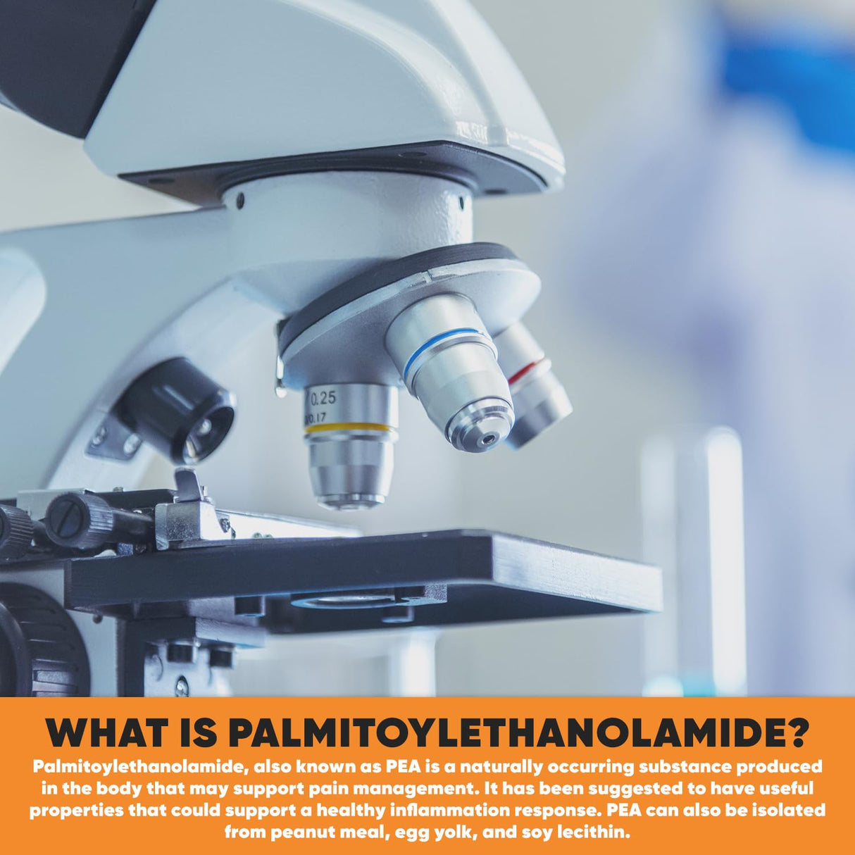 HARVEST NATURALS Palmitoylethanolamide Capsules | Pea 400mg | 400 Pill Count | Promotes Natural Inflammation & Discomfort Relief