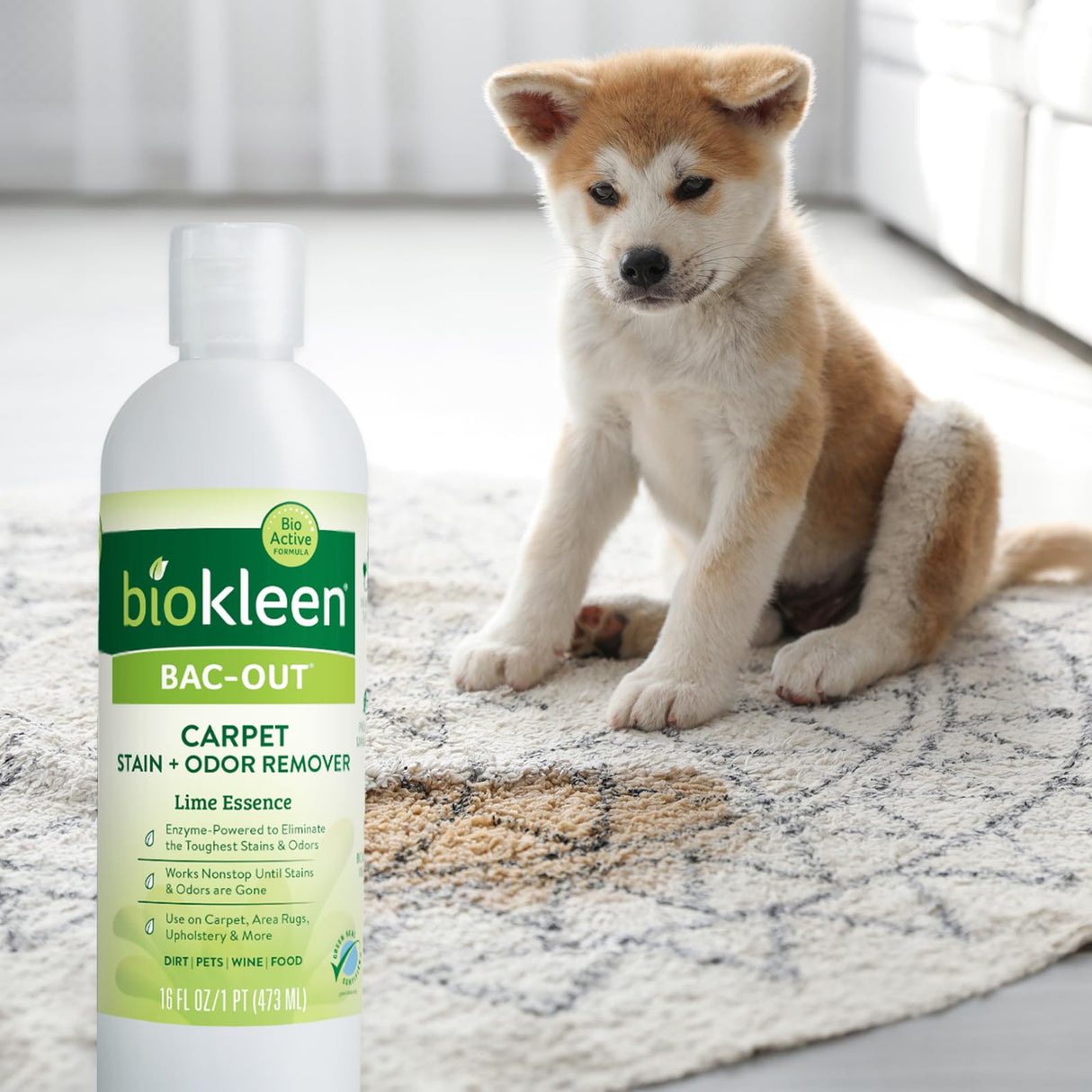 Biokleen Bac-Out Enzymatic Stain & Odor Remover for Carpet - Removes Stains and odors caused by dirt, pet accidents, wine, food, smoke - 2 Pack 32 oz w/Micro Cleaning Towel