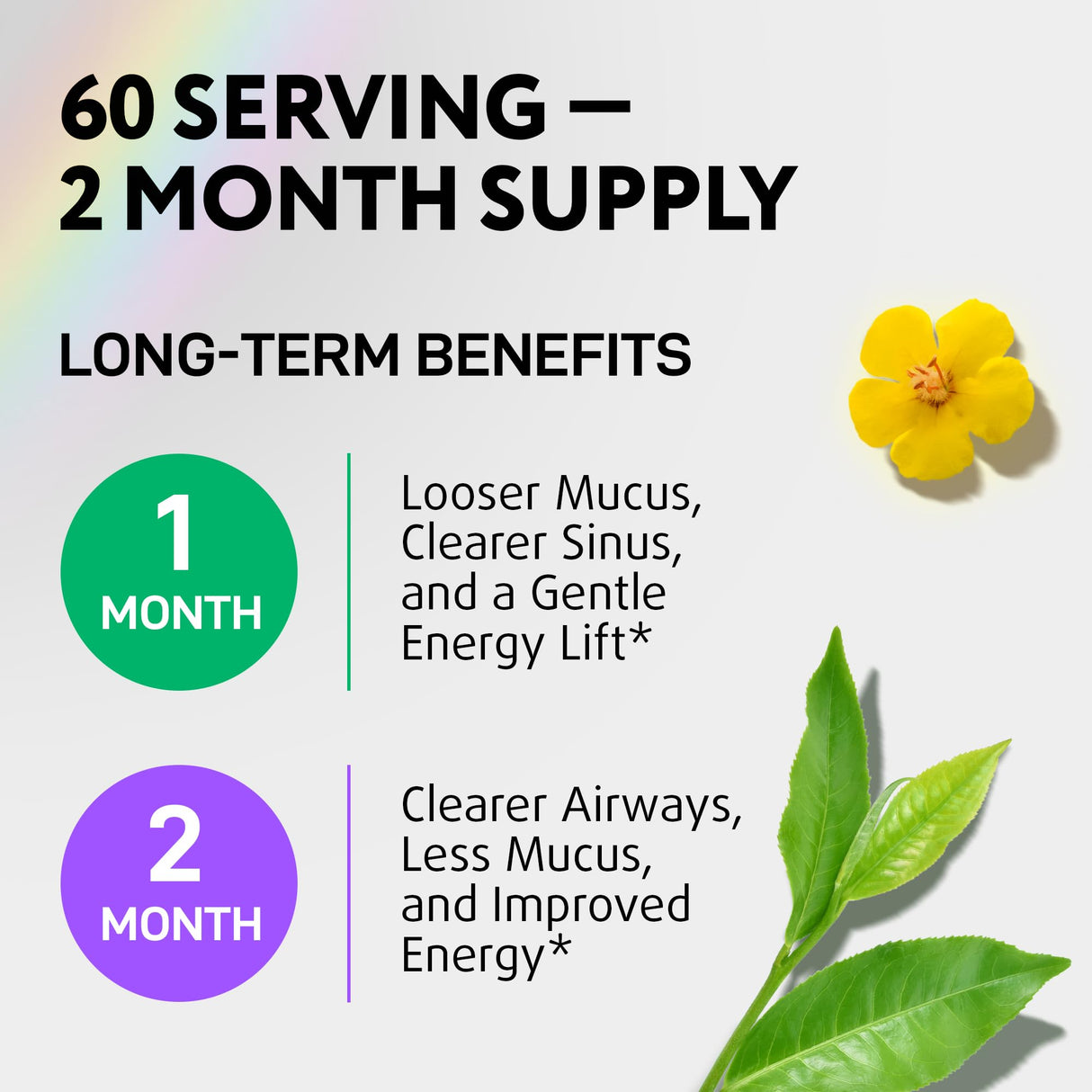 IQ BIOLOGY Mullein Drops for Lungs - USDA Organic Mullein Supplement with Arjuna - Made in USA - Lung Detox for Smokers, Bronchial Cleanse with for Respiratory to Clear Lungs, Break Up Mucus*, 2 oz
