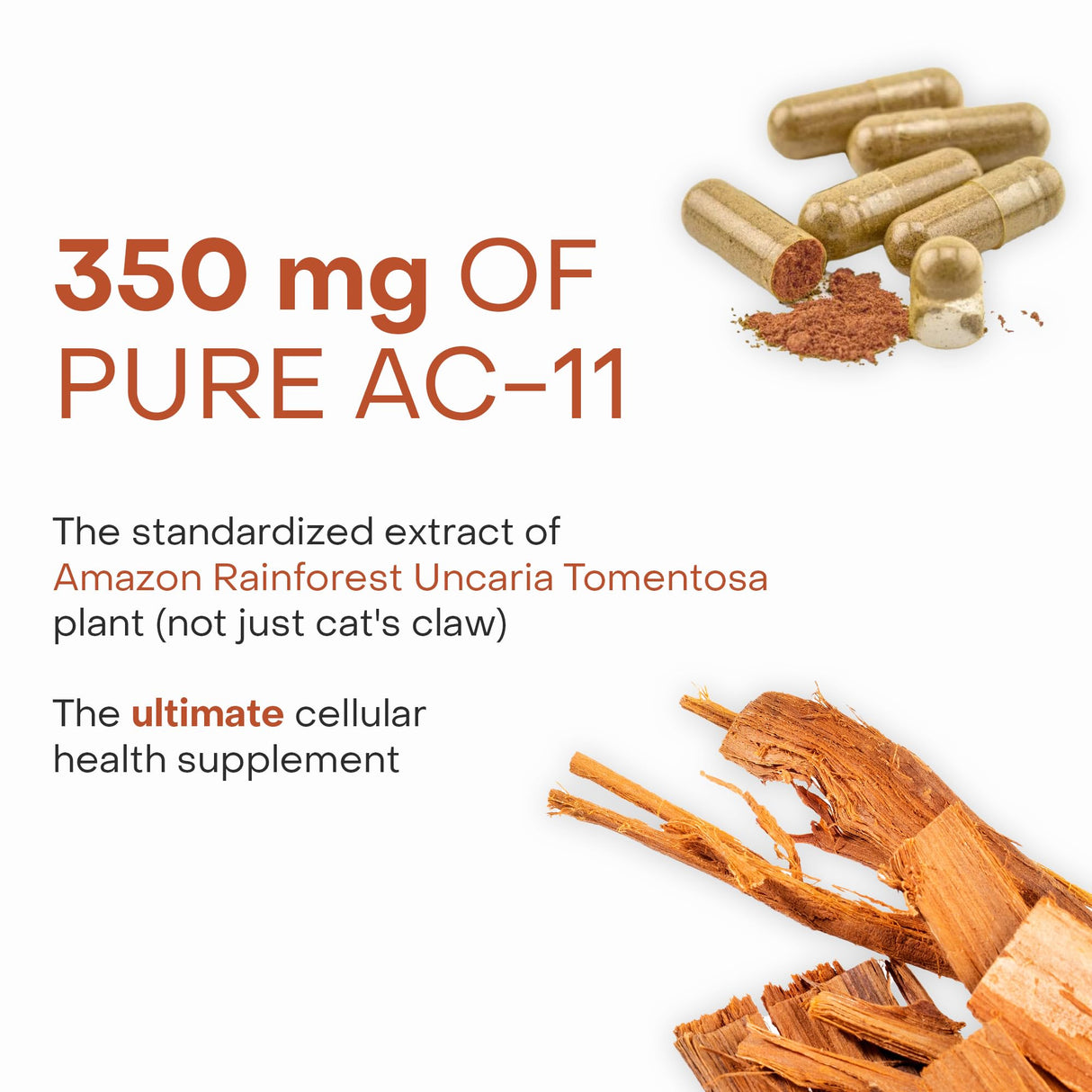 Healthycell Anti-Aging Supplement for DNA Repair and Stem Cell Health, AC-11 - Bioactive Extract of Uncaria Tomentosa (Cat’s Claw) Supports a Healthy Immune System - Vegan, Soy-Free & Gluten-Free