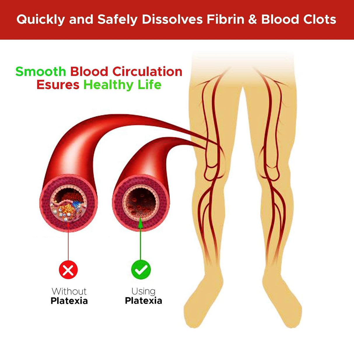 Vision Nutraceuticals Platexia with 3,000 FU Nattokinase NSP-2-90 Vegan Capsules - May Support Blood Circulation - Non-GMO & Kosher - 1 Capsule/Day, 3-Month Supply