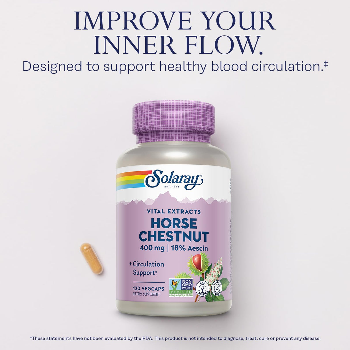 SOLARAY Horse Chestnut Extract 400 mg - Standardized to 72 mg Aescin - with 55 mg of Butchers Broom - Vein and Blood Circulation Supplements - Vegan, Non-GMO, 60-Day Guarantee, 120 Serv, 120 VegCaps