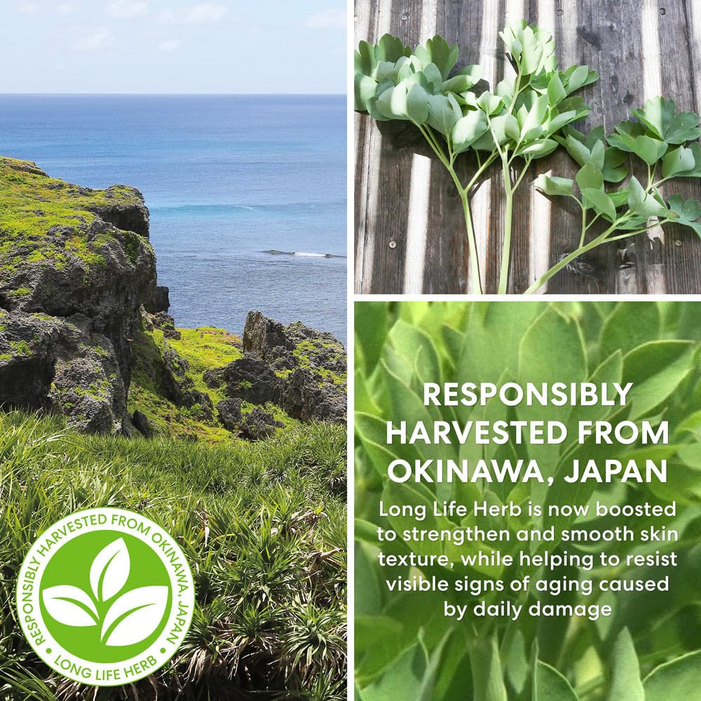 bareMinerals Skinlongevity Long Life Face Serum Infused with Niacinamide, Improves Signs of Aging, Strengthens Skin Barrier, Reduces Visible Lines, Vegan