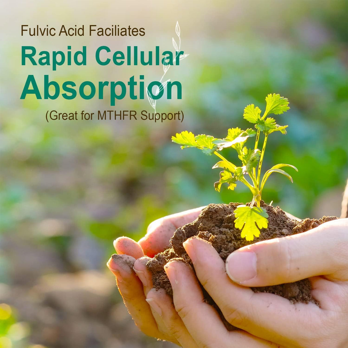 Vital Earth Minerals Super Multi – Liquid Multivitamins for Women, Men & Kids, Liquid Vitamins with Fulvic Acid for Better Absorption, MTHFR Support, 32 Oz + 1 Oz Cup