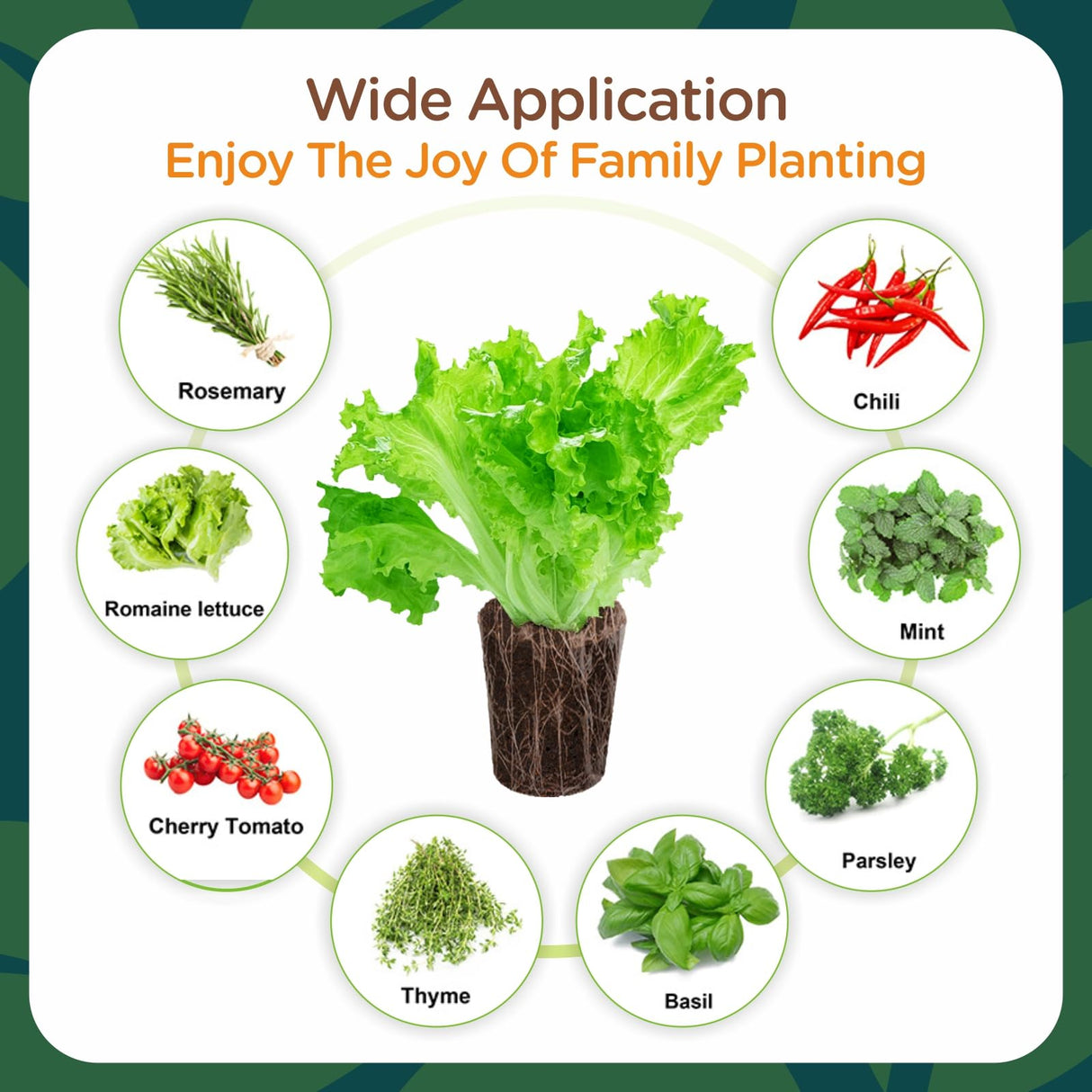 Hapxalie 70 Count Hydroponic Grow Sponges, Pre-Drilled Seed Starter Plugs