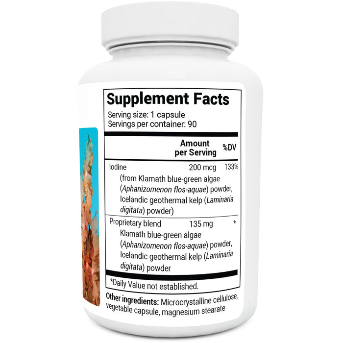Dr. Berg Sea Kelp Enhanced - Thyroid Support Natural Antioxidants & Iodine Supplement w/Organic Sea Kelp & Blue-Green Algae - Immune System & Metabolism Support - Now Without Red Algae - 90 Capsules