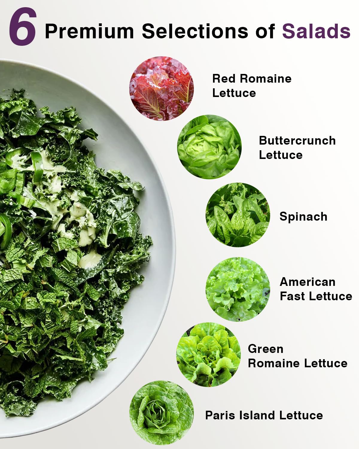 Salad Greens Seed Pod Kit for AeroGarden, iDoo with Red and Green Romaine Lettuce, American Fast/Buttercrunch/Parris Island Lettuce, and Spinach - Compatible with All Hydroponics (7-Pod)