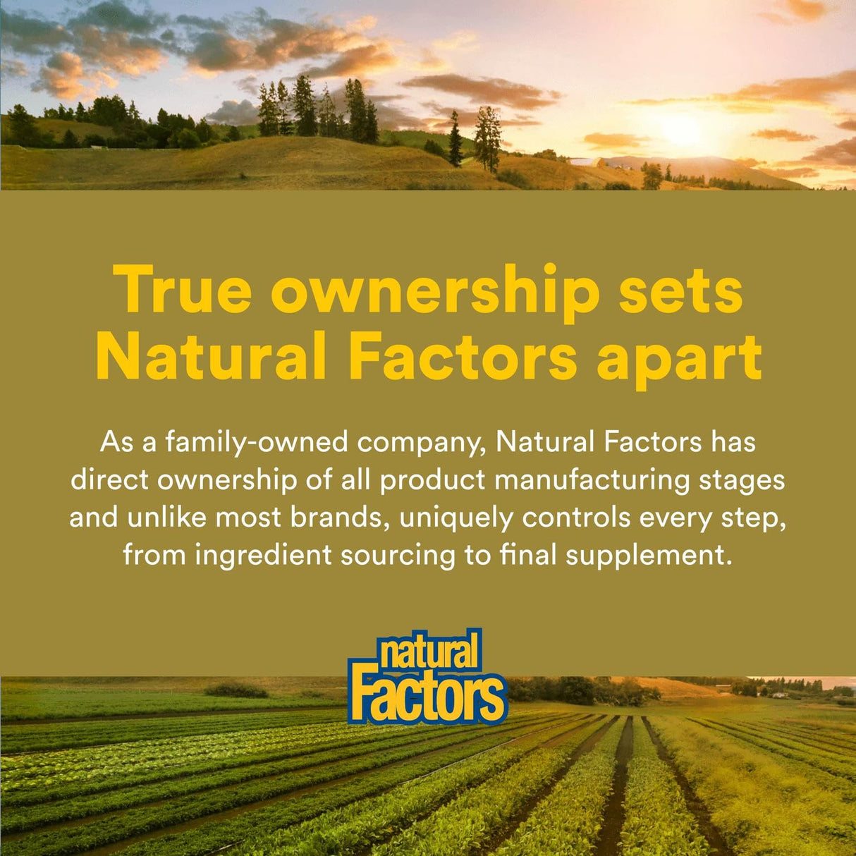 Natural Factors Quercetin LipoMicel Matrix for Superior Absorption, 30 Softgels
