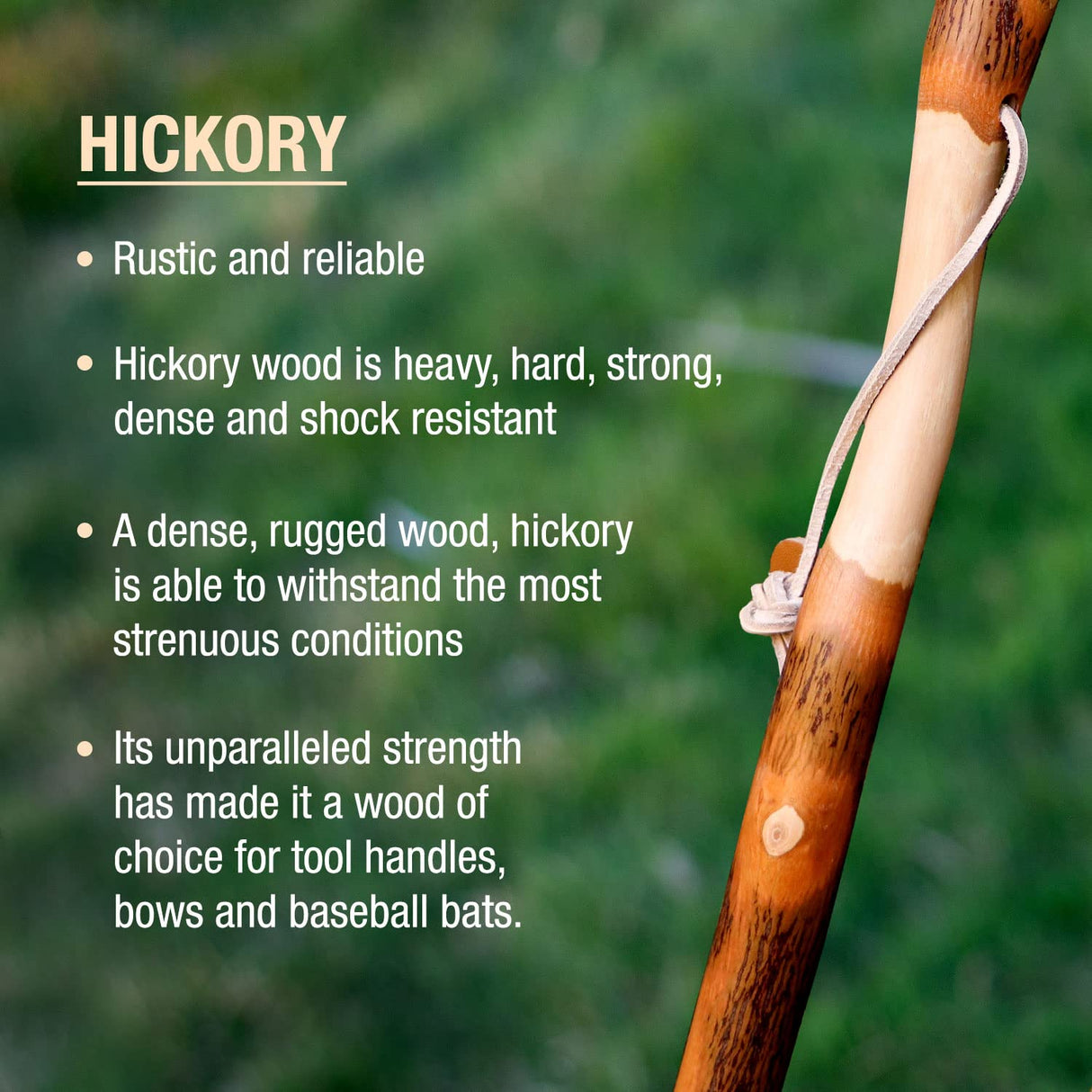 Brazos Rustic Wood Walking Stick, Twisted Hickory, Traditional Style Handle, for Men & Women, Made in the USA, 48"