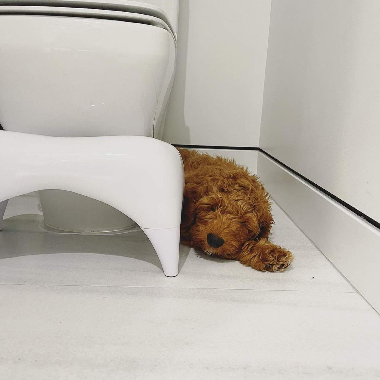 TUSHY Ottoman: Squatting Toilet Stool | Squatting Position Helps Improve Bowel Health, Reduce Strain & Relieve Constipation | 9" Tall, White