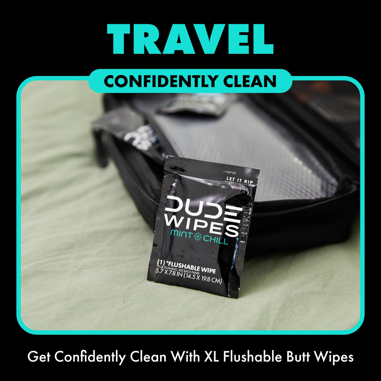 DUDE Wipes On-The-Go Flushable Wet Wipes - 30 Count, Pack of 2 - Mint Chill Extra-Large Individually Wrapped Wipes with Eucalyptus & Tea Tree Oil - Septic and Sewer Safe