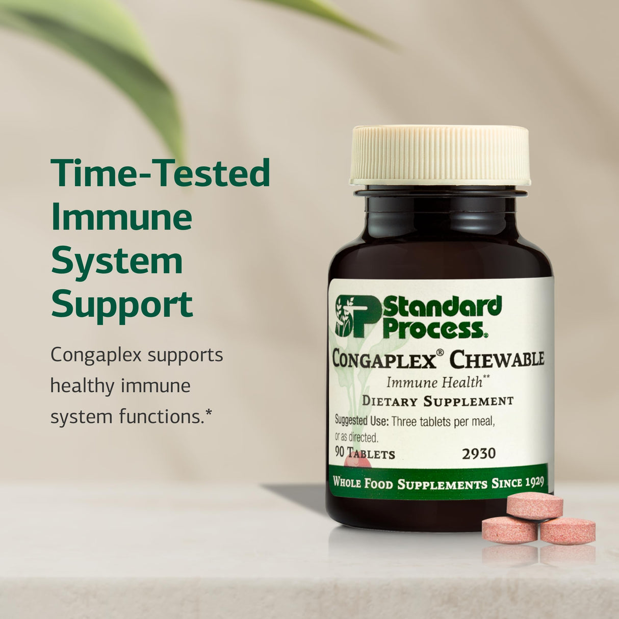 Standard Process Congaplex Chewable - Supplement for Immune System Support with Vitamin A - Supports Thymus Gland & Protein Synthesis - Non-Dairy & Non-Soy - 90 Tablets (30 Servings)