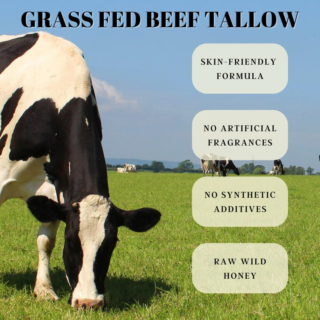 FRANDORA Beef Tallow & Honey Balm – All-Natural Moisturizer Hydrates and Nourishes the Skin, Grass-fed Beef Tallow Honey Balm blend - Ultra-Nourishing Moisturizer for Face, Body & Hands.