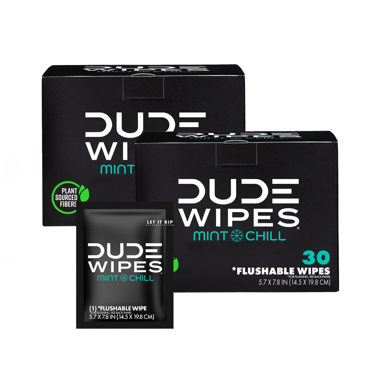 DUDE Wipes On-The-Go Flushable Wet Wipes - 30 Count, Pack of 2 - Mint Chill Extra-Large Individually Wrapped Wipes with Eucalyptus & Tea Tree Oil - Septic and Sewer Safe