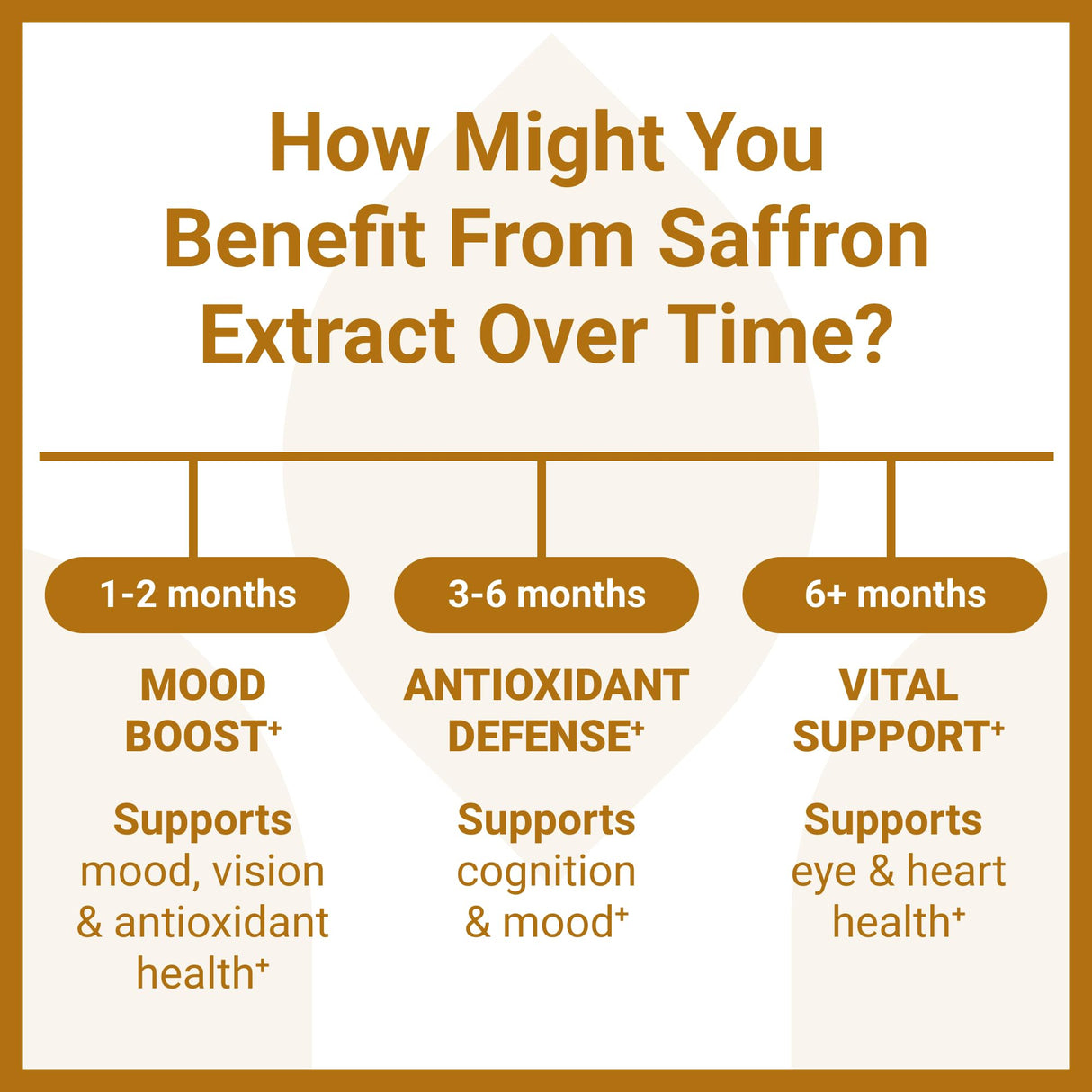 Luma Nutrition Saffron Extract Capsules - Premium Saffron Supplements - 88.50 mg Pure Saffron Pills - Mood Support - Eye Support - Made in The USA - 60 Capsules