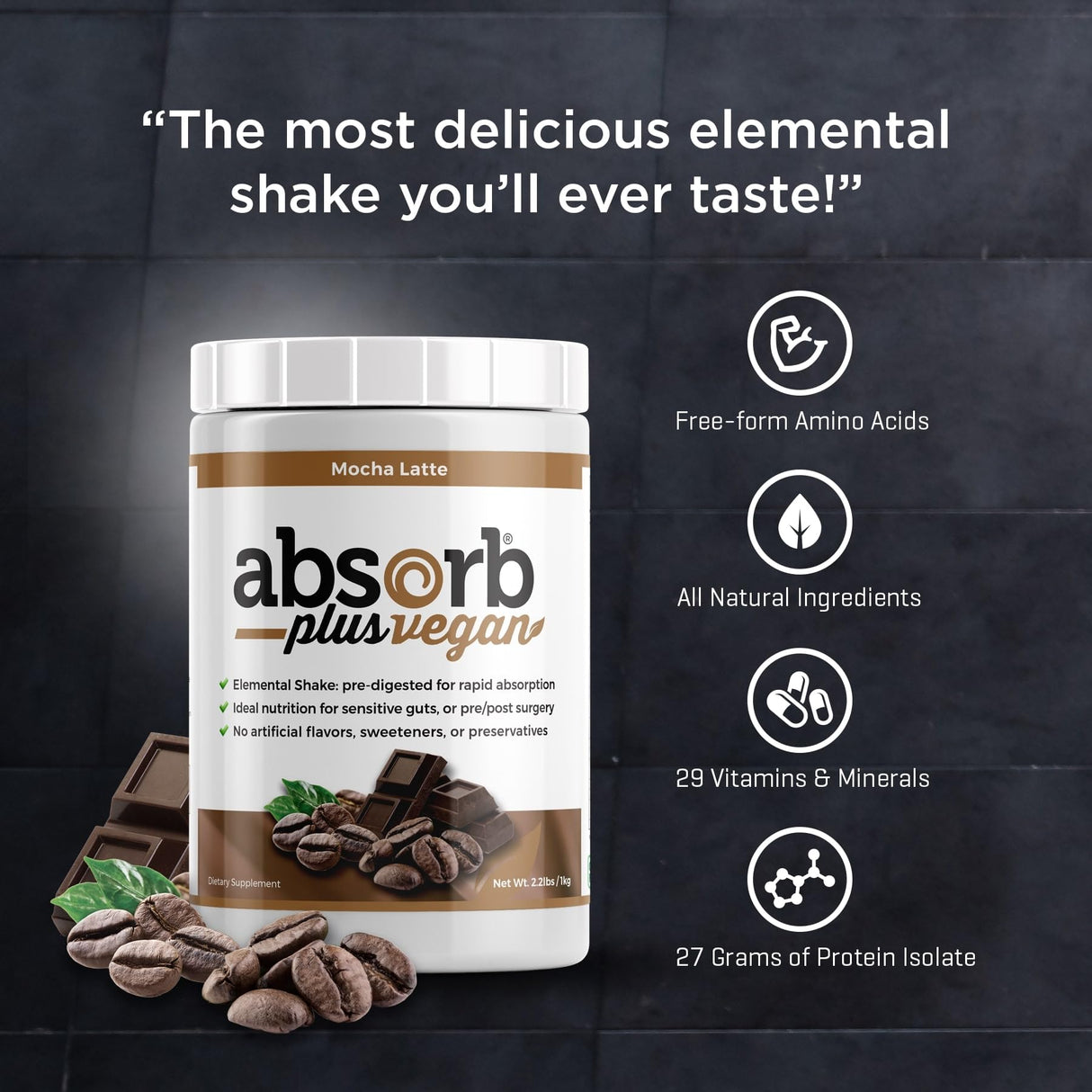 Absorb Plus Vegan Elemental Shake – Nutrient-Rich Powder Nutritional Support, Natural Ingredients, Non-GMO, Gluten-Free, Organic Sprouted Rice Protein (2.2 Pound, Mocha Latte)