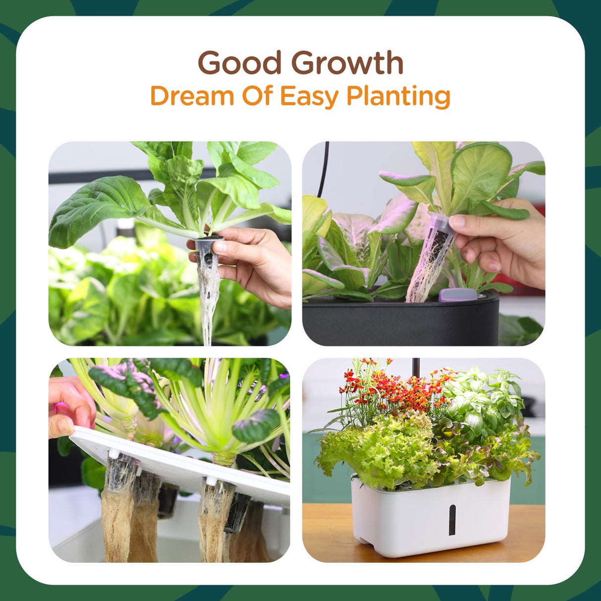 Hapxalie 70 Count Hydroponic Grow Sponges, Pre-Drilled Seed Starter Plugs