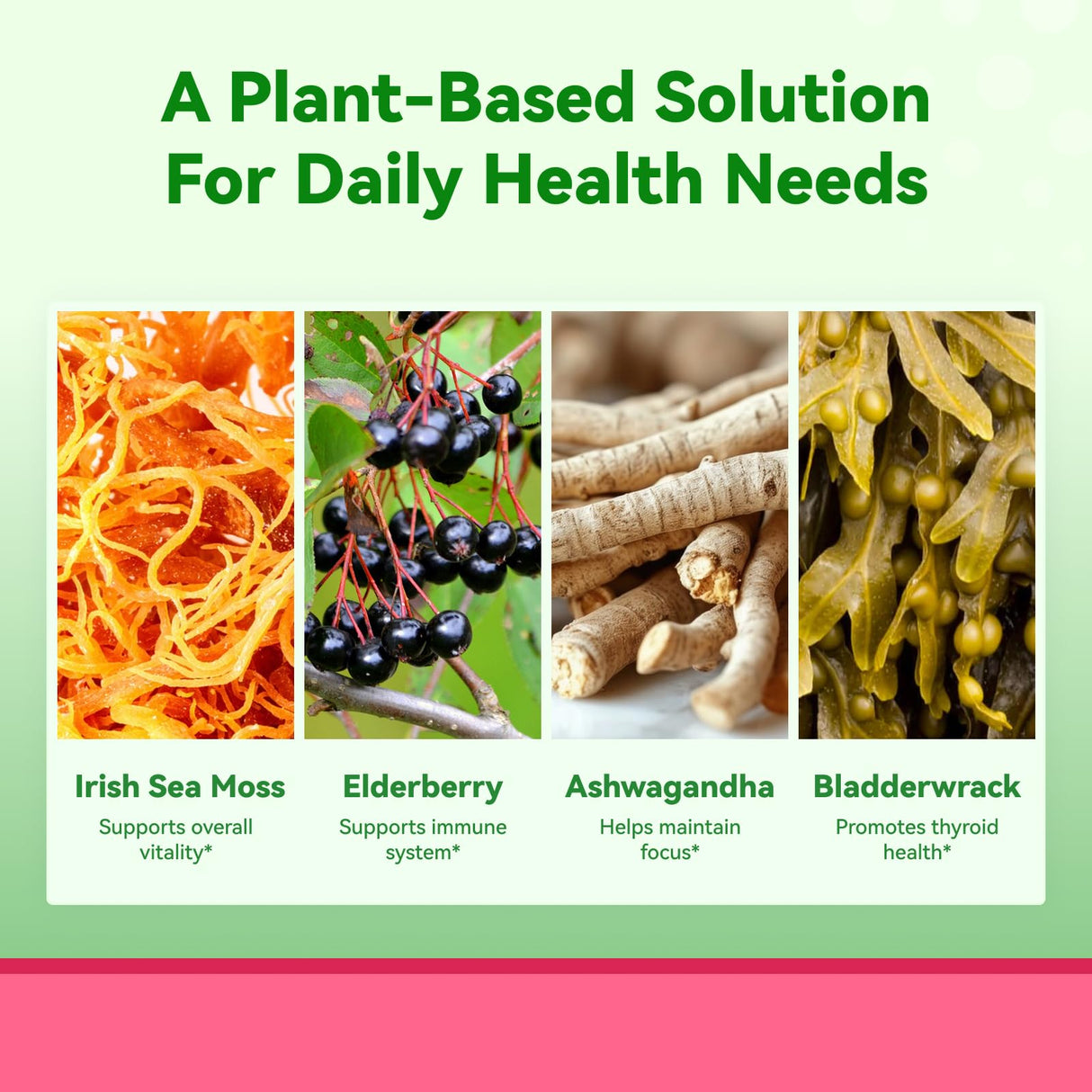 Inner Brightness Sea Moss 4000mg Gummies with Ashwagandha, Elderberry, Apple Cider Vinegar, Bladderwrack, Burdock Root – Immune Support – Mixed Berry Flavor – 60 Count