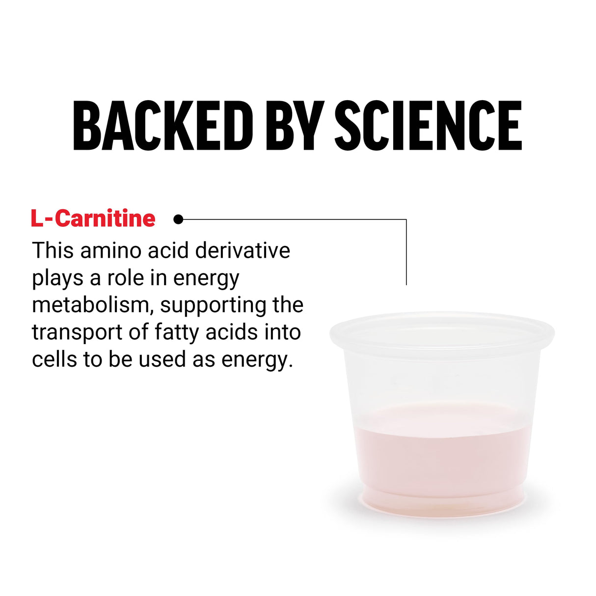 Force Factor L Carnitine Supplement, Liquid L-Carnitine 3000 mg to Help Turn Fat Into Energy, Support Muscle Recovery, and Boost Cellular Energy, Maximum Strength, Non-GMO, Berry Flavor, 16 Oz.