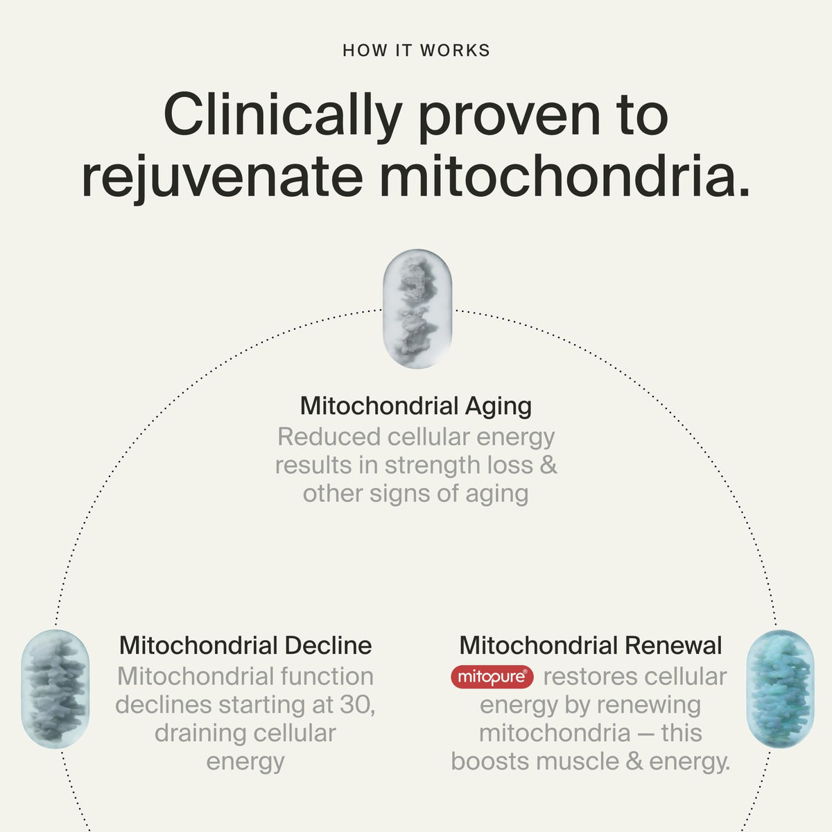 Timeline Mitopure Urolithin A Supplement Gummies