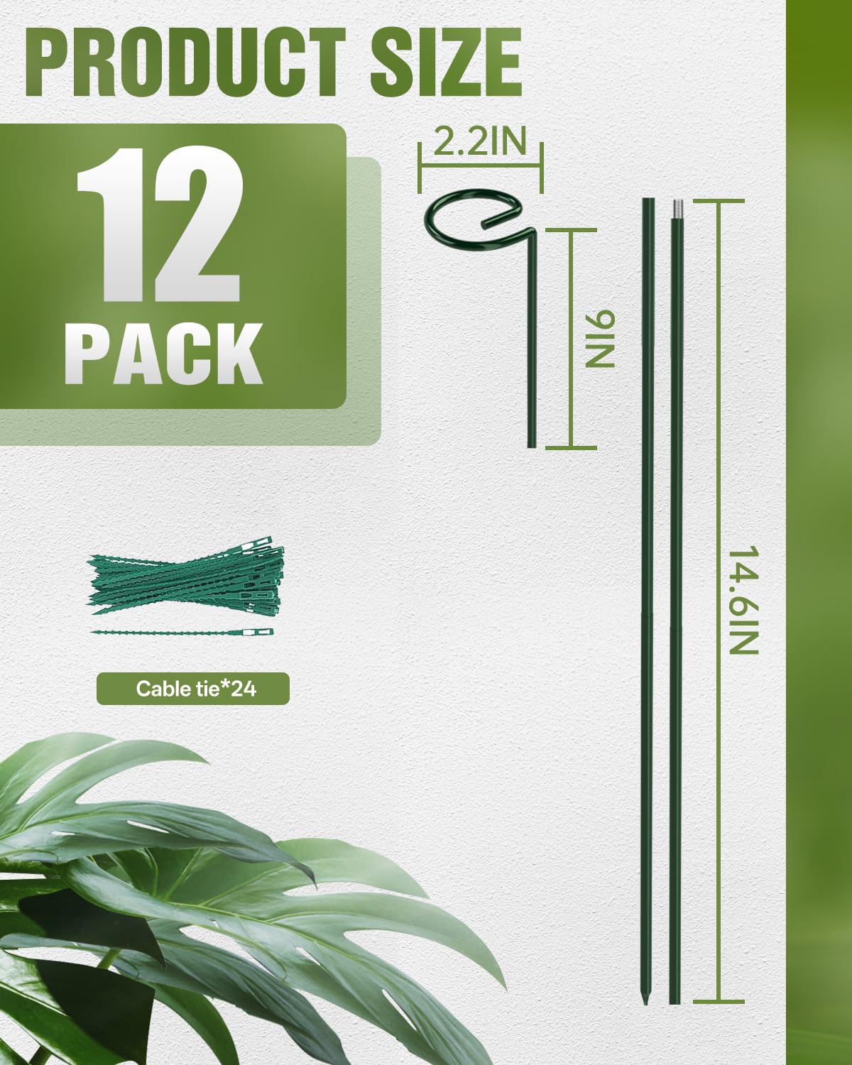 12 Pack 36 Inch Plant Support Stakes for Outdoor Plants and Indoor Flowers