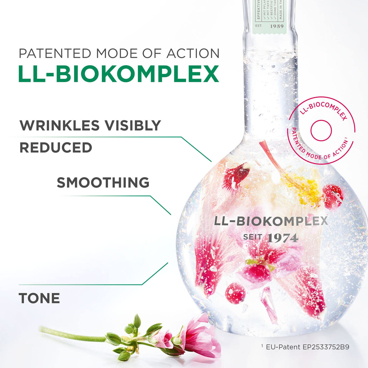 ANNEMARIE BÖRLIND - LL REGENERATION Revitalizing Night Cream - Natural Anti Aging Vitamin C, E and Retinoid Face Cream for Visibly Firmer and Wrinkle Free Skin - Step 4 of 5-1.69 Oz.