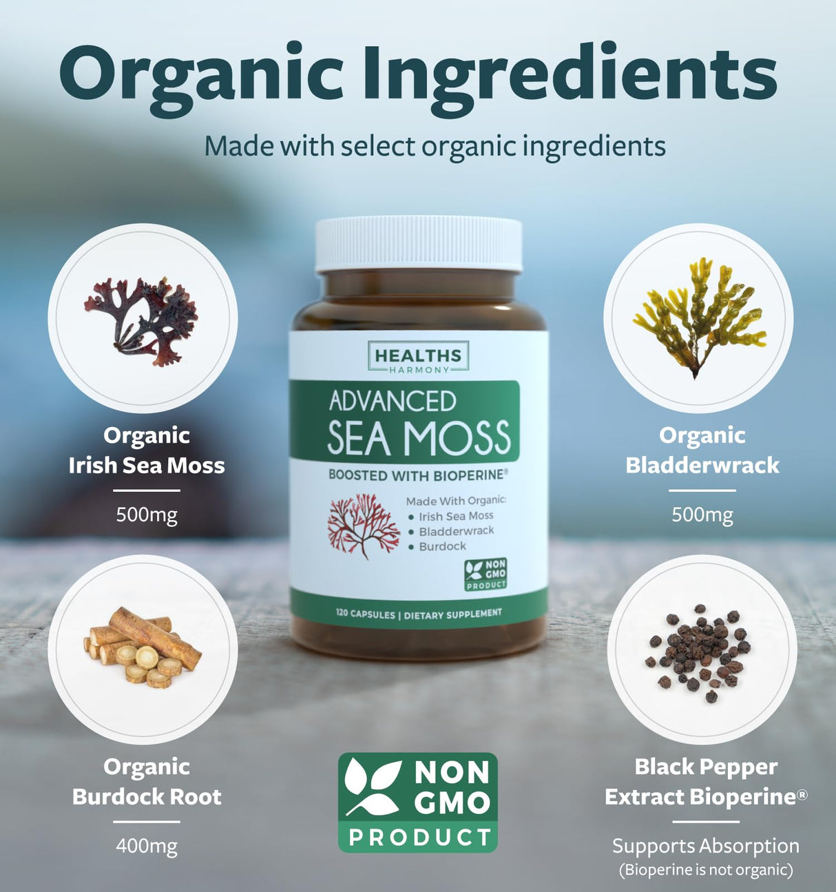 Organic Irish Sea Moss Capsules - Organic Sea Moss Capsules with Bladderwrack Burdock Root and Black Pepper Extract for Enhanced Absorption - Vegan Non-GMO & Made in The USA (2 Month Supply)