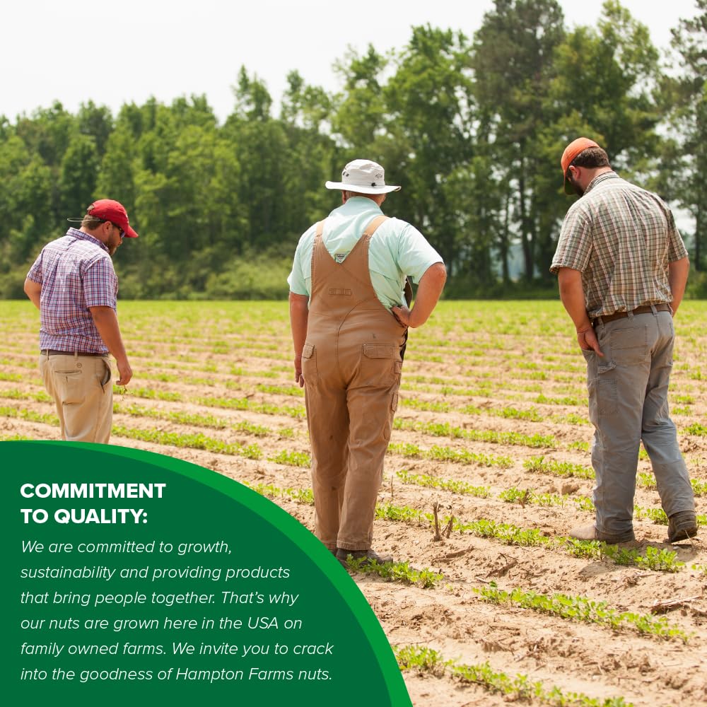 Hampton Farms - USA Grown All-Natural - Fancy Roasted In-Shell Salted Peanuts - 10 oz. Bags - 3 Pack